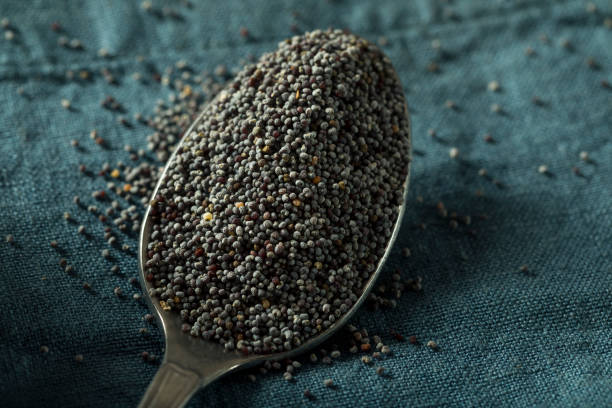 Organic Black Mustard Seeds